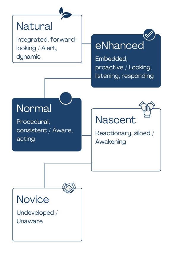 How ‘mature’ is your enterprise risk management?