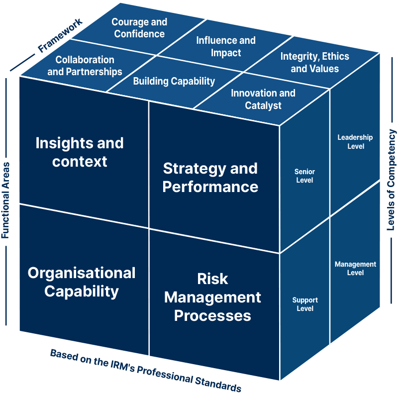 IRM Competency cube